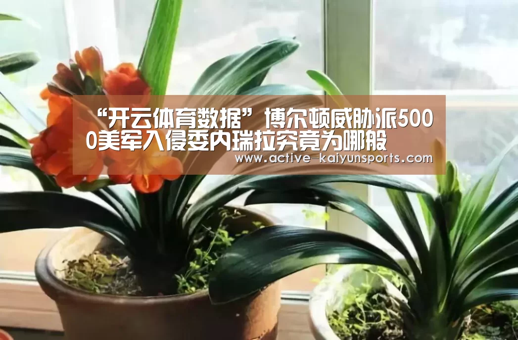 开云体育高清直播
