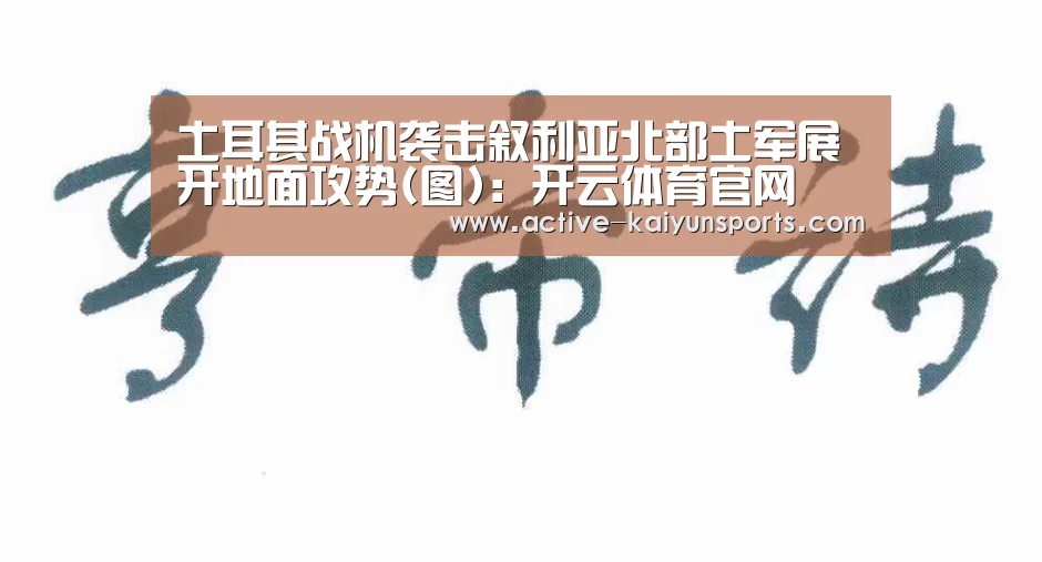 土耳其战机袭击叙利亚北部土军展开地面攻势(图):开云体育官网(图3) 开云直播