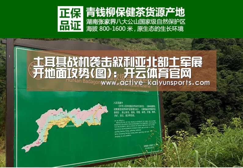 土耳其战机袭击叙利亚北部土军展开地面攻势(图):开云体育官网(图4) 开云直播