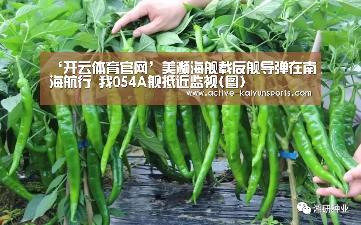 开云直播
