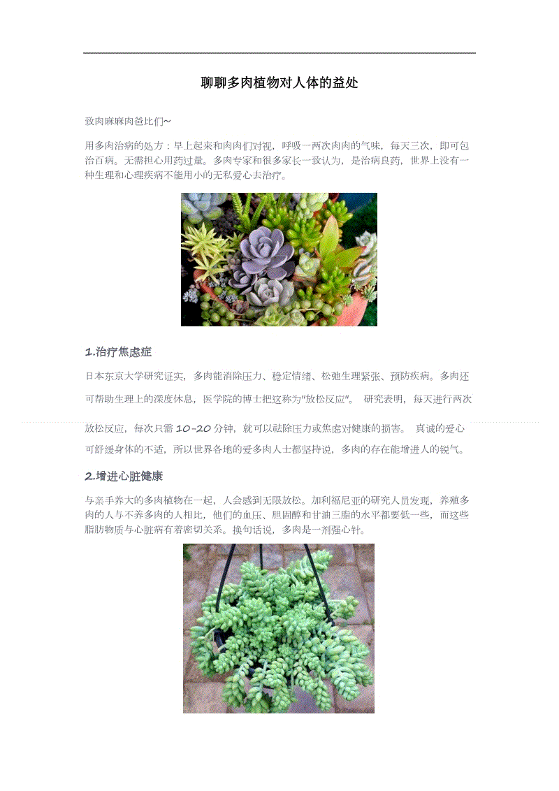 开云体育高清直播